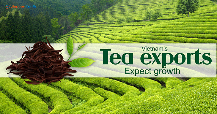 Vietnam’s tea exports expect growth